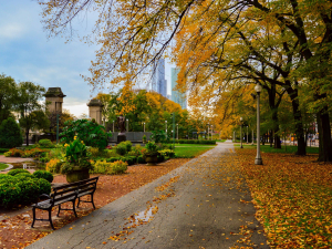 autumn in the park